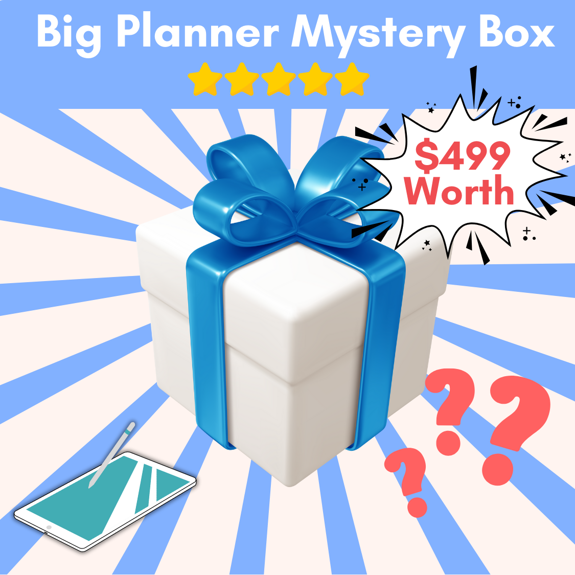 Big Planner Mystery Box